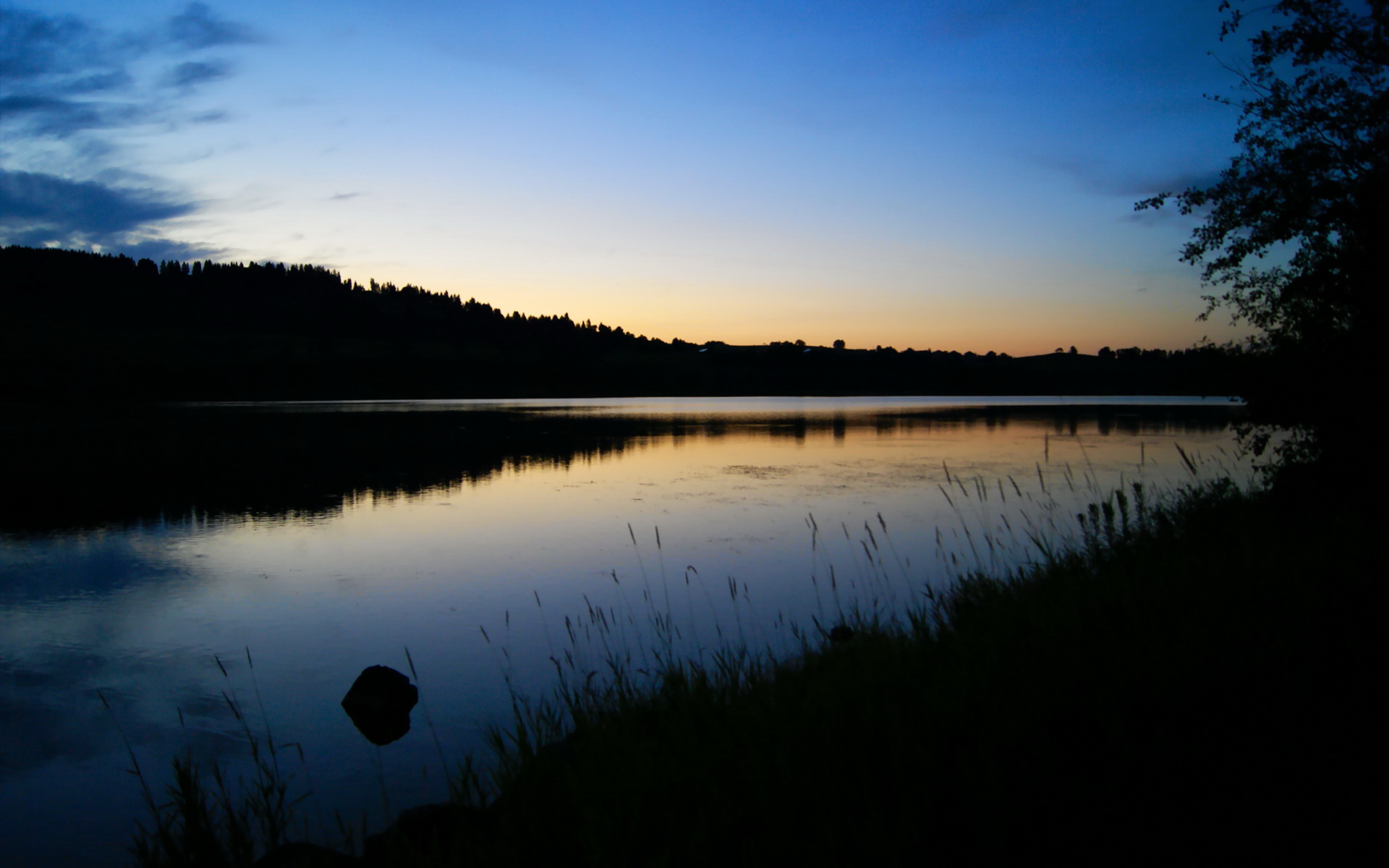 出发水下推进成蝶泳开局关键，水下蝶泳视频