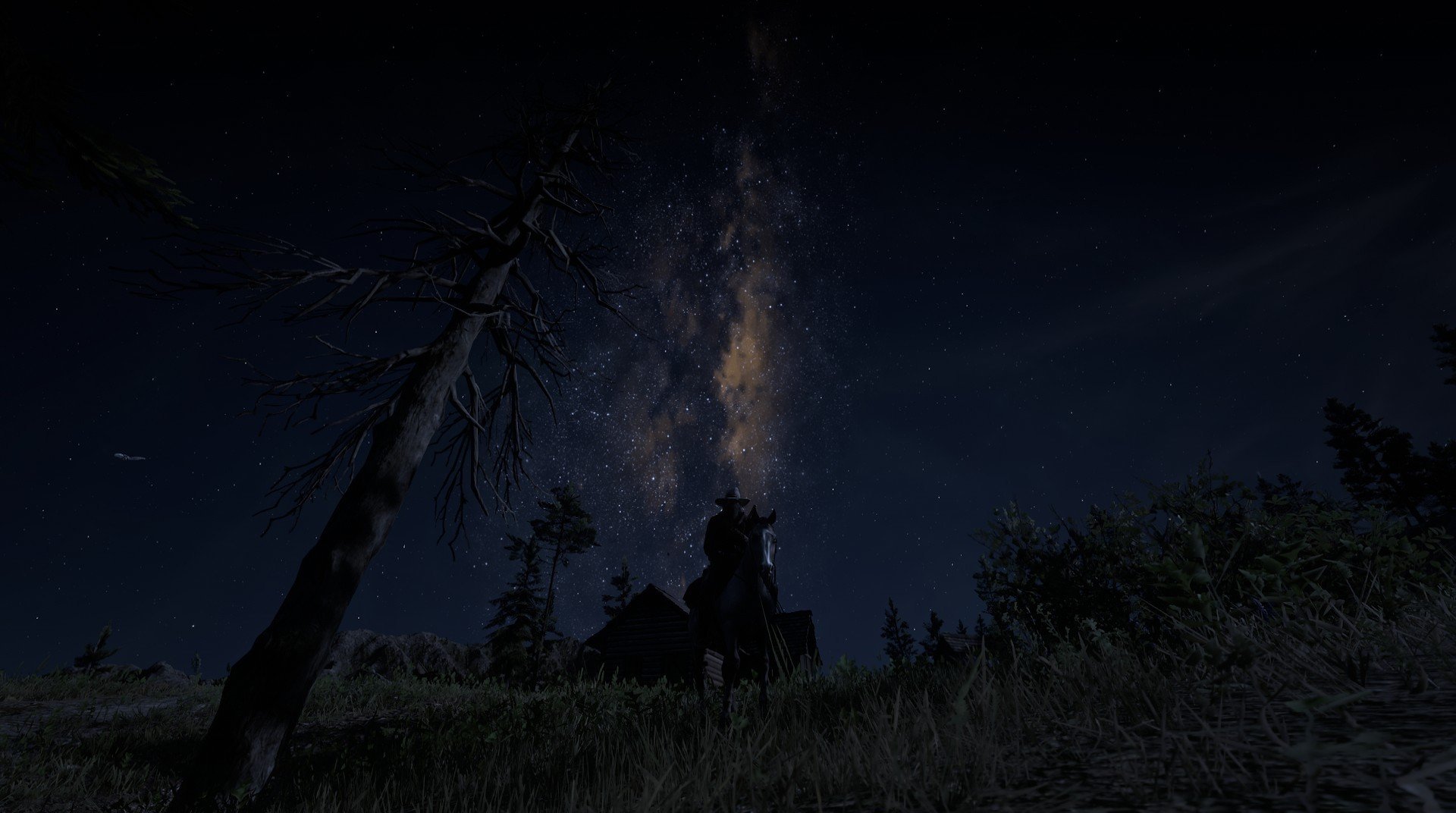 加拿大游泳技术优化助力成绩提升,加拿大国家游泳队