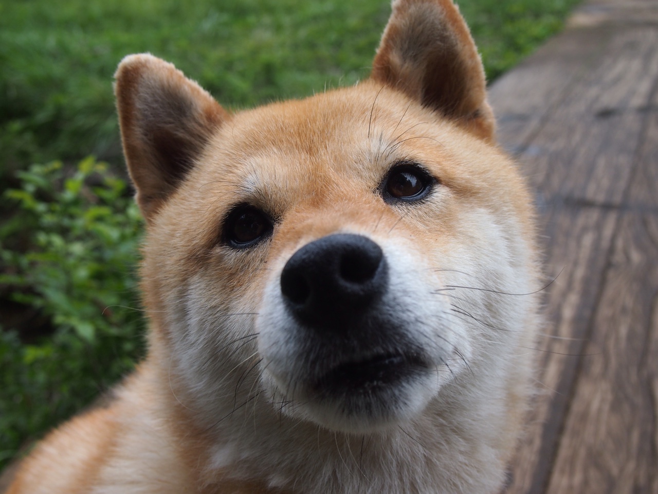 乌干达男篮在非洲预赛中拼搏到底，书写辉煌新篇章，乌干达国家男子足球队